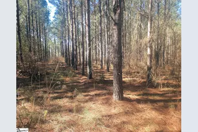 [Address not provided], Gray Court, SC 29645 - Photo 5