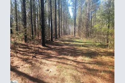 [Address not provided], Gray Court, SC 29645 - Photo 15