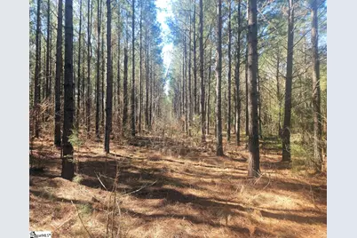 [Address not provided], Gray Court, SC 29645 - Photo 17