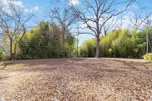 110 Chester St, Spartanburg, SC 29301 - Photo 15