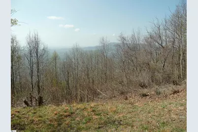 3605 Skyuka Mountain Road, Columbus, NC 28722 - Photo 49