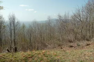 3605 Skyuka Mountain Rd, Columbus, NC 28722 - Photo 49