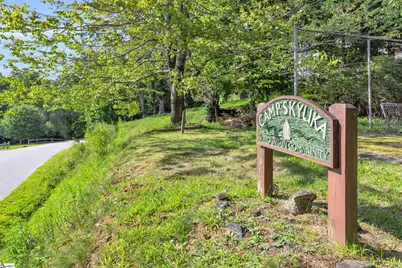 3605 Skyuka Mountain Road, Columbus, NC 28722 - Photo 37