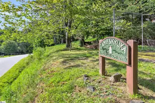 3605 Skyuka Mountain Rd, Columbus, NC 28722 - Photo 37