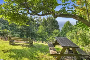 3605 Skyuka Mountain Rd, Columbus, NC 28722 - Photo 29