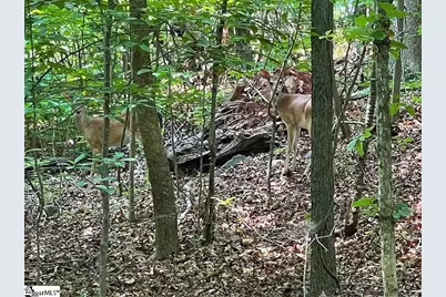 Lot 515 Point Road, Westminster, SC 29693 - Photo 3