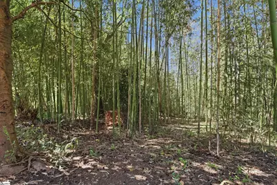 114A Shaw Street, Fountain Inn, SC 29644 - Photo 25