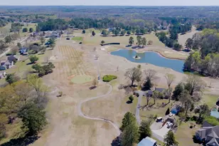 191 Pheasant Way, Fountain Inn, SC 29644 - Photo 47