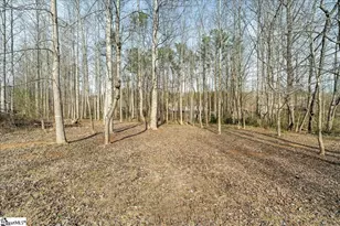 114 Raven Woods Ln, Pickens, SC 29671 - Photo 45