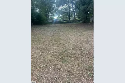 0 Carey Avenue, Greer, SC 29651 - Photo 1