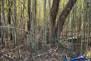 1212 Duncan Reidville Rd, Duncan, SC 29344 - Photo 33