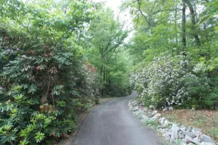 512 Doe Run, Pickens, SC 29671 - Photo 39