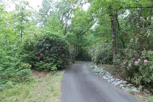 512 Doe Run, Pickens, SC 29671 - Photo 37