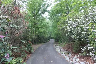512 Doe Run, Pickens, SC 29671 - Photo 39