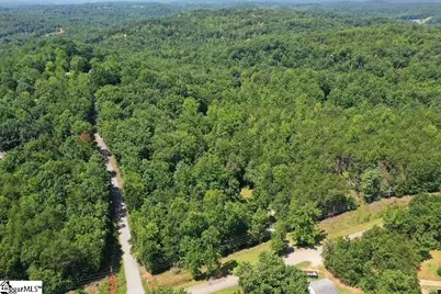883 Goodwin Bridge Road, Travelers Rest, SC 29690 - Photo 5