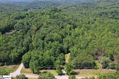 883 Goodwin Bridge Road, Travelers Rest, SC 29690 - Photo 3
