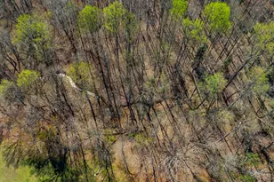 171 Hickory Rd, Williamston, SC 29697 - Photo 41