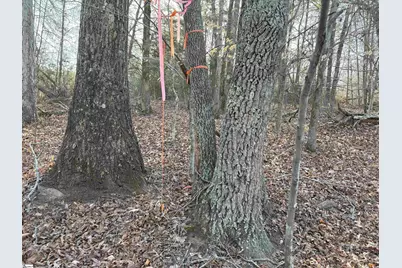 829 Bramlett Road, Laurens, SC 29360 - Photo 15