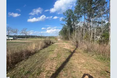 102 Edwards Lane, Cross Hill, SC 29332 - Photo 3