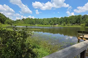 112 Ivy Woods Ct, Fountain Inn, SC 29644 - Photo 35