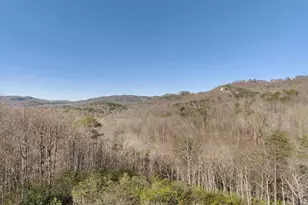 7 Halfnoon Trail, Travelers Rest, SC 29690 - Photo 29