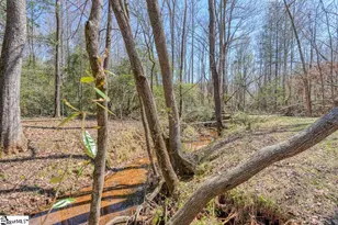 465 Stewart Rd, Spartanburg, SC 29306 - Photo 45