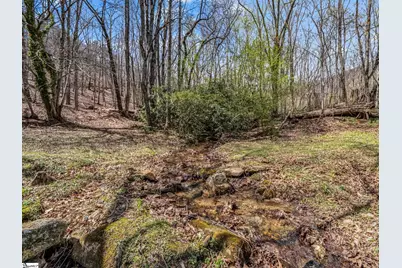 175 Pink Campbell Road, Landrum, SC 29356 - Photo 13