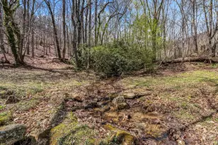 175 Pink Campbell Rd, Landrum, SC 29356 - Photo 13