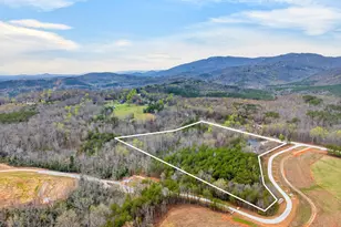 1175 Hwy 11, Landrum, SC 29356 - Photo 45