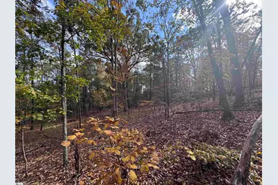 13250 W 76 Highway, Gray Court, SC 29645 - Photo 9