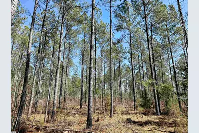 00 Highway 28, Abbeville, SC 29620 - Photo 27