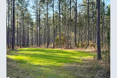 00 Highway 28, Abbeville, SC 29620 - Photo 1