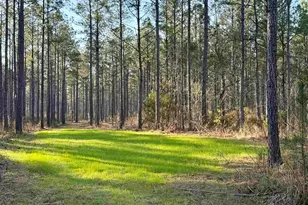 00 Hwy 28, Abbeville, SC 29620 - Photo 1