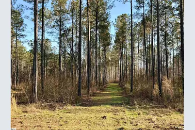 00 Highway 28, Abbeville, SC 29620 - Photo 25