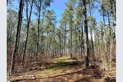 00 Highway 28, Abbeville, SC 29620 - Photo 45