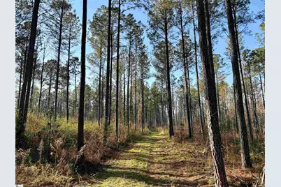 00 Highway 28, Abbeville, SC 29620 - Photo 37