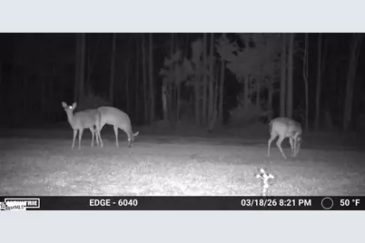 00 Highway 28, Abbeville, SC 29620 - Photo 11