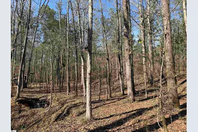 00 Highway 28, Abbeville, SC 29620 - Photo 39