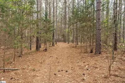 105 Greenville Church Road, Donalds, SC 29638 - Photo 43