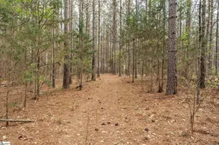 105 Greenville Church Rd, Donalds, SC 29638 - Photo 43