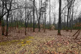 145 Fern Dr, Westminster, SC 29693 - Photo 23