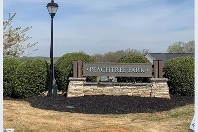 167 Clingstone Trail, Duncan, SC 29334 - Photo 29