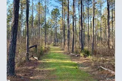00 Long Cane Road, McCormick, SC 29620 - Photo 11