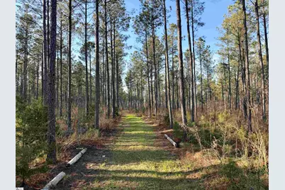 00 Long Cane Road, McCormick, SC 29620 - Photo 13