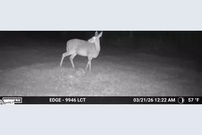 00 Long Cane Road, McCormick, SC 29620 - Photo 9