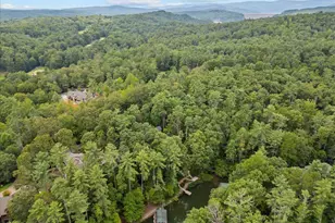 205 Pitcher Plant Ln, Sunset, SC 29685 - Photo 43