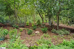 205 Pitcher Plant Ln, Sunset, SC 29685 - Photo 45