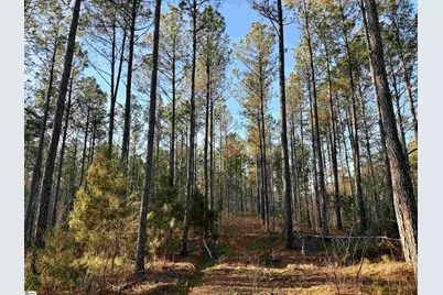 0 Highway 28 Highway, McCormick, SC 29620 - Photo 29