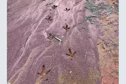 0 Highway 28 Highway, McCormick, SC 29620 - Photo 15