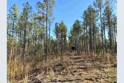 0 Highway 28 Highway, McCormick, SC 29620 - Photo 21